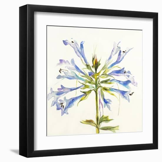 Sheer Beauty III-Liz Jardine-Framed Art Print