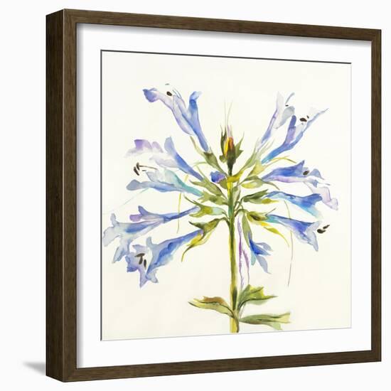 Sheer Beauty III-Liz Jardine-Framed Art Print