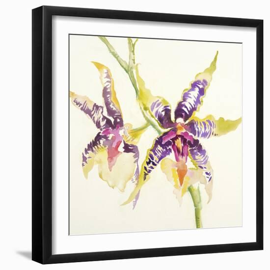 Sheer Beauty VI-Liz Jardine-Framed Premium Giclee Print