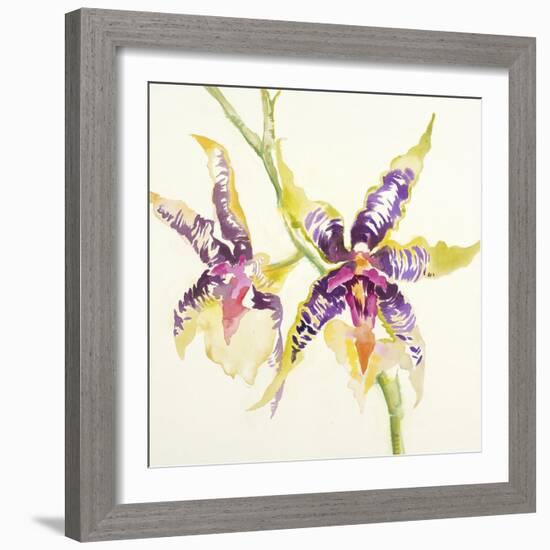 Sheer Beauty VI-Liz Jardine-Framed Art Print