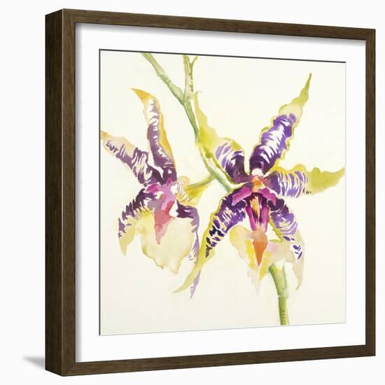 Sheer Beauty VI-Liz Jardine-Framed Art Print