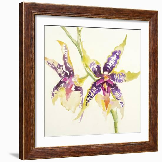 Sheer Beauty VI-Liz Jardine-Framed Art Print