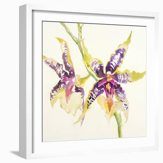 Sheer Beauty VI-Liz Jardine-Framed Art Print