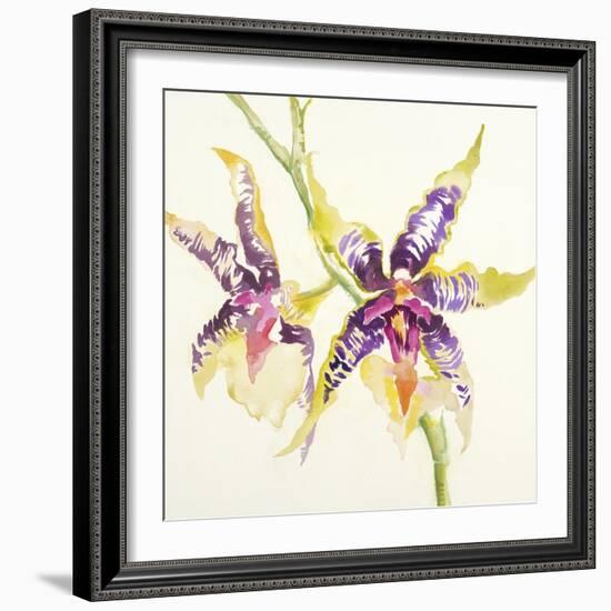 Sheer Beauty VI-Liz Jardine-Framed Art Print