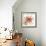 Sheer Beauty VII-Liz Jardine-Framed Premium Giclee Print displayed on a wall
