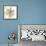 Sheer Beauty VIII-Liz Jardine-Framed Premium Giclee Print displayed on a wall