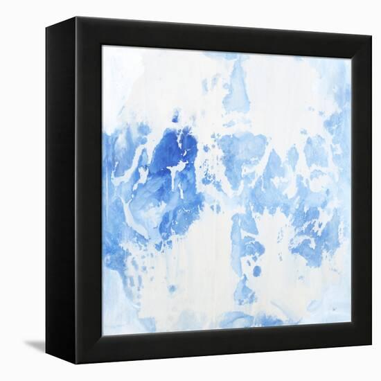 Sheer Bliss-Joshua Schicker-Framed Premier Image Canvas