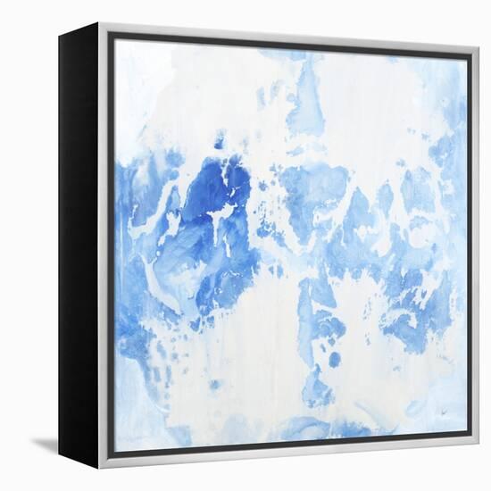 Sheer Bliss-Joshua Schicker-Framed Premier Image Canvas