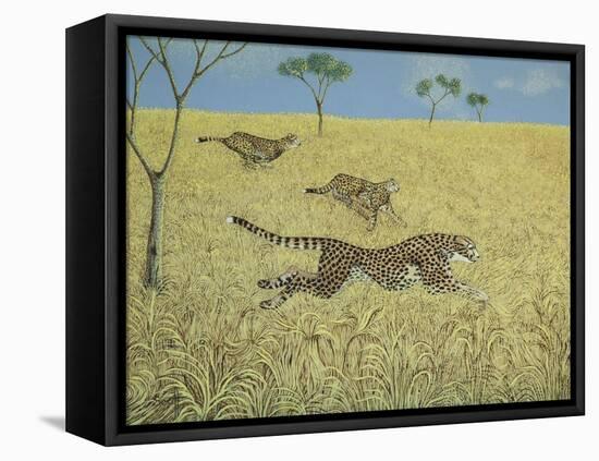 Sheer Speed-Pat Scott-Framed Premier Image Canvas