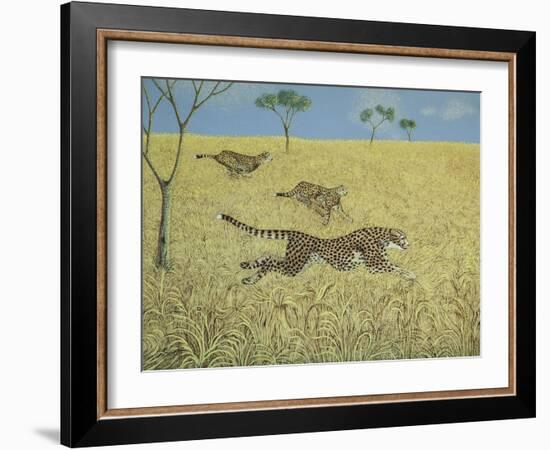 Sheer Speed-Pat Scott-Framed Giclee Print