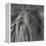 Sheer Waves over Nude Breasts-Monika Brand-Framed Premier Image Canvas