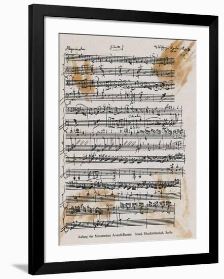 Photographic Print, , large
