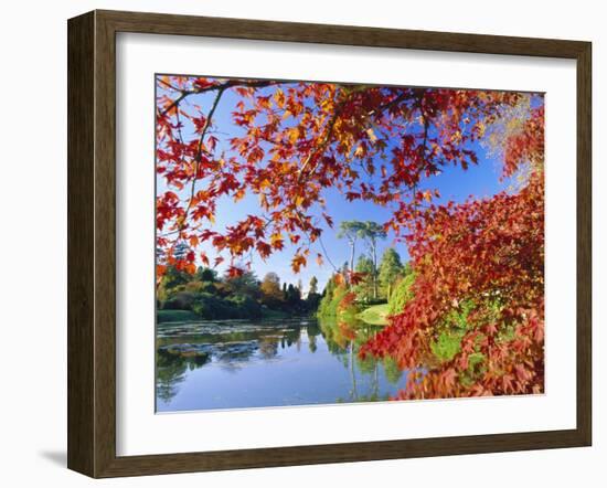 Sheffield Park Garden, the Middle Lake Framed by Scarlet Acer Leaves, Autumn, East Sussex, England-Ruth Tomlinson-Framed Photographic Print