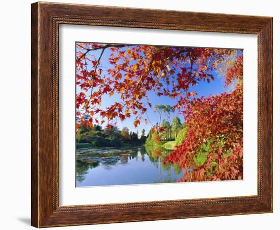 Sheffield Park Garden, the Middle Lake Framed by Scarlet Acer Leaves, Autumn, East Sussex, England-Ruth Tomlinson-Framed Photographic Print