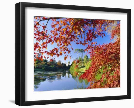 Sheffield Park Garden, the Middle Lake Framed by Scarlet Acer Leaves, Autumn, East Sussex, England-Ruth Tomlinson-Framed Photographic Print