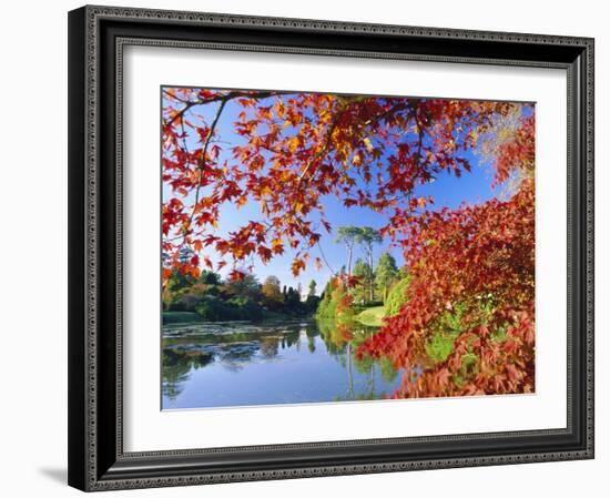 Sheffield Park Garden, the Middle Lake Framed by Scarlet Acer Leaves, Autumn, East Sussex, England-Ruth Tomlinson-Framed Photographic Print