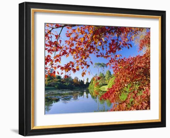 Sheffield Park Garden, the Middle Lake Framed by Scarlet Acer Leaves, Autumn, East Sussex, England-Ruth Tomlinson-Framed Photographic Print