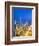 Sheikh Zayad Road and Burj Khalifa, Downtown, Dubai, United Arab Emirates-Jon Arnold-Framed Photographic Print