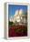 Sheikh Zayed Bin Sultan Al Nahyan Mosque, Abu Dhabi, United Arab Emirates, Middle East-Frank Fell-Framed Premier Image Canvas