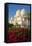 Sheikh Zayed Bin Sultan Al Nahyan Mosque, Abu Dhabi, United Arab Emirates, Middle East-Frank Fell-Framed Premier Image Canvas