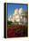 Sheikh Zayed Bin Sultan Al Nahyan Mosque, Abu Dhabi, United Arab Emirates, Middle East-Frank Fell-Framed Premier Image Canvas