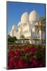 Sheikh Zayed Bin Sultan Al Nahyan Mosque, Abu Dhabi, United Arab Emirates, Middle East-Frank Fell-Mounted Photographic Print