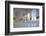 Sheikh Zayed Bin Sultan Al Nahyan Mosque, Abu Dhabi, United Arab Emirates, Middle East-Frank Fell-Framed Photographic Print