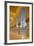 Sheikh Zayed Bin Sultan Al Nahyan Mosque at Dusk, Abu Dhabi, United Arab Emirates, Middle East-Frank Fell-Framed Photographic Print