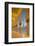 Sheikh Zayed Bin Sultan Al Nahyan Mosque at Dusk, Abu Dhabi, United Arab Emirates, Middle East-Frank Fell-Framed Photographic Print