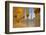 Sheikh Zayed Bin Sultan Al Nahyan Mosque at Dusk, Abu Dhabi, United Arab Emirates, Middle East-Frank Fell-Framed Photographic Print