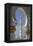 Sheikh Zayed Grand Mosque, Abu Dhabi, United Arab Emirates, Middle East-Rolf Richardson-Framed Premier Image Canvas