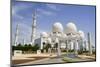 Sheikh Zayed Grand Mosque, Abu Dhabi, United Arab Emirates, Middle East-Fraser Hall-Mounted Photographic Print