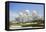 Sheikh Zayed Grand Mosque, Abu Dhabi, United Arab Emirates, Middle East-Fraser Hall-Framed Premier Image Canvas