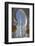 Sheikh Zayed Grand Mosque, Abu Dhabi, United Arab Emirates, Middle East-Rolf Richardson-Framed Photographic Print