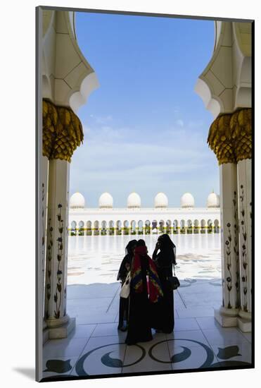 Sheikh Zayed Grand Mosque, Abu Dhabi, United Arab Emirates, Middle East-Fraser Hall-Mounted Photographic Print