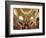 Sheikh Zayed Mosque, Abu Dhabi, United Arab Emirates, Middle East-Angelo Cavalli-Framed Photographic Print