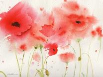 Windblown Poppies #3-Sheila Golden-Art Print