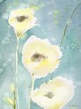 Precious Poppies-Sheila Golden-Framed Stretched Canvas