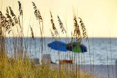 A Day at the Beach Is Seen Through the Sea Oats, West Coast, Florida-Sheila Haddad-Photographic Print