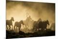 Premium Photographic Print