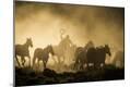 Premium Photographic Print