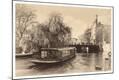 Photographic Print