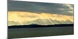 Photographic Print