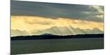 Premium Photographic Print