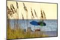 Premium Photographic Print