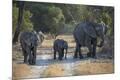 Photographic Print
