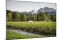 Photographic Print