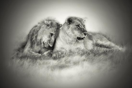 Photographic Print, , large