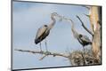 Premium Photographic Print