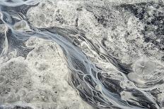 Two White Horses of Camargue, French, Nuzzling-Sheila Haddad-Photographic Print